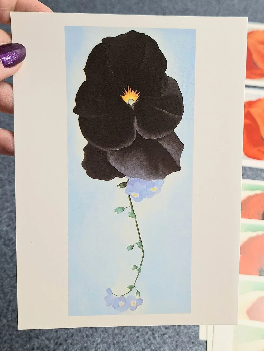 Georgia O'Keeffe Vintage Floral Card Set: Red, White, Blue &Music Pink & Blue II